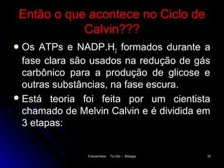 Então o que acontece no Ciclo de
            Calvin???
 Os  ATPs e NADP.H2 formados durante a
  fase clara são usados na redução de gás
  carbônico para a produção de glicose e
  outras substâncias, na fase escura.
 Está teoria foi feita por um cientista
  chamado de Melvin Calvin e é dividida em
  3 etapas:


               Fotossíntese   Tio Oto - Biologia   35
 