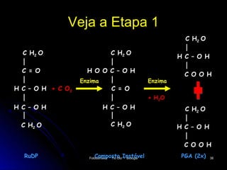 Veja a Etapa 1
                                                              C H2 O

  C H2 O                             C H2 O
                                                            H C – O H

  C = O              H O O C – O H
                                                              C O O H
                   Enzima                          Enzima
H C – O H + C O2                     C = O
                                                   + H2O
H C – O H                     H C – O H                       C H2 O

  C H2 O                             C H2 O                 H C – O H

                                                              C O O H
  RuDP                   Composto Instável
                      Fotossíntese
                              Tio Oto - Biologia             PGA (2x)   38
 