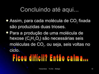 Concluindo até aqui...
 Assim, para cada molécula de CO2 fixada
  são produzidas duas trioses.
 Para a produção de uma molécula de
  hexose (C6H12O6) são necessárias seis
  moléculas de CO2. ou seja, seis voltas no
  ciclo.



                Fotossíntese   Tio Oto - Biologia   42
 