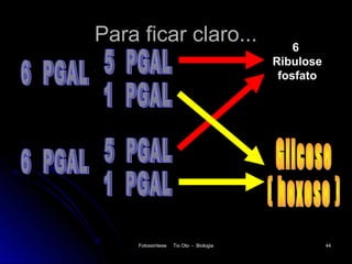 Para ficar claro...                          6
                                         Ribulose
                                          fosfato




     Fotossíntese   Tio Oto - Biologia              44
 