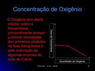 Concentração de Oxigênio
O Oxigênio tem efeito
inibidor sobre a
fotossíntese,




                                     Taxa de Fotossíntese
provavelmente porque
promove reoxidação
dos primeiros produtos
da fase fotoquímica e
pela inativação de
algumas enzimas do
ciclo de Calvin.                                            Quantidade de Oxigênio
                 Fotossíntese   Tio Oto - Biologia                                   50
 
