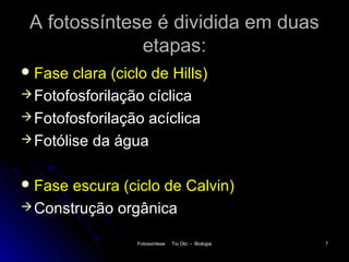A fotossíntese é dividida em duas
              etapas:
 Fase  clara (ciclo de Hills)
 Fotofosforilação cíclica
 Fotofosforilação acíclica
 Fotólise da água


 Fase escura (ciclo de Calvin)
 Construção orgânica

                  Fotossíntese   Tio Oto - Biologia   7
 