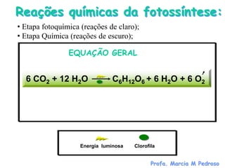 Reações químicas da fotossíntese:
• Etapa fotoquímica (reações de claro);
• Etapa Química (reações de escuro);

                EQUAÇÃO GERAL


  6 CO2 + 12 H2O               C6H12O6 + 6 H2O + 6 O2




                    Energia luminosa   Clorofila


                                              Profa. Marcia M Pedroso
 