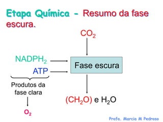 Etapa Química - Resumo da fase
escura.
                  CO2


  NADPH2
                 Fase escura
     ATP
 Produtos da
  fase clara
               (CH2O) e H2O
     O2
                         Profa. Marcia M Pedroso
 