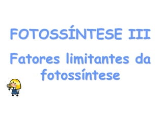 FOTOSSÍNTESE III
Fatores limitantes da
    fotossíntese
 