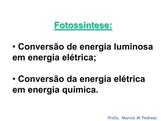 Fotossíntese:

• Conversão de energia luminosa
em energia elétrica;

• Conversão da energia elétrica
em energia química.

                      Profa. Marcia M Pedroso
 