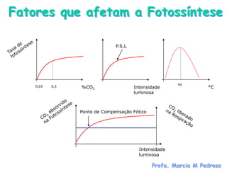 Fatores que afetam a Fotossíntese

                               P.S.L




                                                       40
    0,03   0,3   %CO2                  Intensidade               °C
                                       luminosa



                 Ponto de Compensação Fótico




                                         Intensidade
                                         luminosa

                                               Profa. Marcia M Pedroso
 