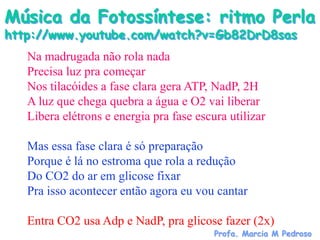 Música da Fotossíntese: ritmo Perla
http://www.youtube.com/watch?v=Gb82DrD8sas
   Na madrugada não rola nada
   Precisa luz pra começar
   Nos tilacóides a fase clara gera ATP, NadP, 2H
   A luz que chega quebra a água e O2 vai liberar
   Libera elétrons e energia pra fase escura utilizar

   Mas essa fase clara é só preparação
   Porque é lá no estroma que rola a redução
   Do CO2 do ar em glicose fixar
   Pra isso acontecer então agora eu vou cantar

   Entra CO2 usa Adp e NadP, pra glicose fazer (2x)
                                          Profa. Marcia M Pedroso
 