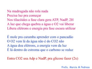 Na madrugada não rola nada
Precisa luz pra começar
Nos tilacóides a fase clara gera ATP, NadP, 2H
A luz que chega quebra a água e O2 vai liberar
Libera elétrons e energia pra fase escura utilizar

É mole pra caramba aprender com o pancadão
O O2 vem lá da água não é do CO2 não
A água doa elétrons, a energia vem da luz
É lá dentro do estroma que o carbono se reduz

Entra CO2 usa Adp e NadP, pra glicose fazer (2x)

                                       Profa. Marcia M Pedroso
 