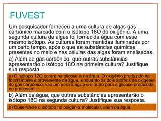 FUVEST
Um pesquisador forneceu a uma cultura de algas gás
carbônico marcado com o isótopo 18O do oxigênio. A uma
segunda cultura de algas foi fornecida água com esse
mesmo isótopo. As culturas foram mantidas iluminadas por
um certo tempo, após o que as substâncias químicas
presentes no meio e nas células das algas foram analisadas.
a) Além de gás carbônico, que outras substâncias
apresentarão o isótopo 18O na primeira cultura? Justifique
sua resposta.
a) O isótopo 12O ocorre na glicose e na água. O oxigênio produzido na
fotossíntese é proveniente da água, enquanto os dois átomos de oxigênio
do gás carbônico, vão um para a água e o outro para a glicose produzida
no processo.
b) Além da água, que outras substâncias apresentarão o
isótopo 18O na segunda cultura? Justifique sua resposta.
b) Observa-se o isótopo no oxigênio molecular, além da água.
 