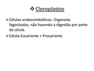 Cloroplastos
Células endossimbióticas: Organelas
fagocitadas, não havendo a digestão por parte
da célula.
Célula Eucarionte + Procarionte
 