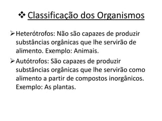 Classificação dos Organismos
Heterótrofos: Não são capazes de produzir
substâncias orgânicas que lhe servirão de
alimento. Exemplo: Animais.
Autótrofos: São capazes de produzir
substâncias orgânicas que lhe servirão como
alimento a partir de compostos inorgânicos.
Exemplo: As plantas.
 