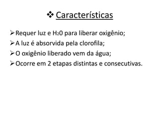 Características
Requer luz e H20 para liberar oxigênio;
A luz é absorvida pela clorofila;
O oxigênio liberado vem da água;
Ocorre em 2 etapas distintas e consecutivas.
 