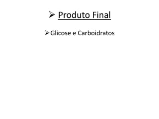  Produto Final
Glicose e Carboidratos
 