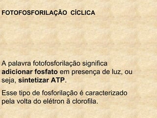                                                                                
FOTOFOSFORILAÇÃO CÍCLICA
A palavra fotofosforilação significa
adicionar fosfato em presença de luz, ou
seja, sintetizar ATP.
Esse tipo de fosforilação é caracterizado
pela volta do elétron ã clorofila.
 