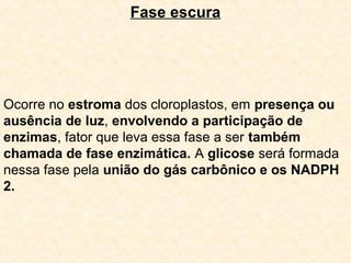Fase escura
Ocorre no estroma dos cloroplastos, em presença ou
ausência de luz, envolvendo a participação de
enzimas, fator que leva essa fase a ser também
chamada de fase enzimática. A glicose será formada
nessa fase pela união do gás carbônico e os NADPH
2.
 