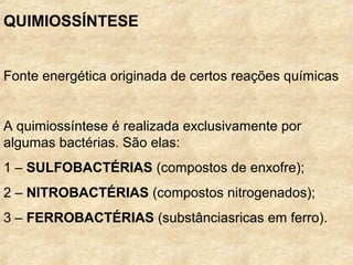 QUIMIOSSÍNTESE
Fonte energética originada de certos reações químicas
A quimiossíntese é realizada exclusivamente por
algumas bactérias. São elas:
1 – SULFOBACTÉRIAS (compostos de enxofre);
2 – NITROBACTÉRIAS (compostos nitrogenados);
3 – FERROBACTÉRIAS (substânciasricas em ferro).
 