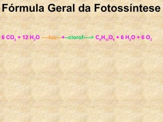 Fórmula Geral da Fotossíntese
6 CO2
+ 12 H2
O ----luz---+--clorof----> C6
H12
O6
+ 6 H2
O + 6 O2
 