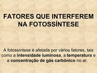 FATORES QUE INTERFEREM
NA FOTOSSÍNTESE
A fotossíntese é afetada por vários fatores, tais
como a intensidade luminosa, a temperatura e
a concentração de gás carbônico no ar.
 