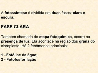 A fotossíntese é dividida em duas fases: clara e
escura.
FASE CLARA
Também chamada de etapa fotoquímica, ocorre na
presença de luz. Ela acontece na região dos grana do
cloroplasto. Há 2 fenômenos principais:
1 –Fotólise da água;
2 - Fotofosforilação
 