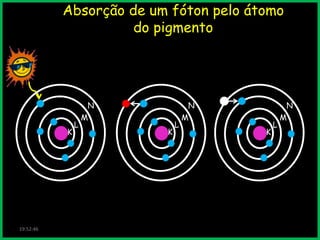 Absorção de um fóton pelo átomo
do pigmento

K

19:52:46

L

N
M
K

L

N
M
K

L

N
M

 