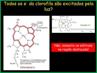 Todos os e- da clorofila são excitados pela
luz?

Não, somente os elétrons
na região destacada!

19:52:46

 