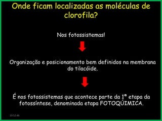 Onde ficam localizadas as moléculas de
clorofila?
Nos fotossistemas!

Organização e posicionamento bem definidos na membrana
do tilacóide.

É nos fotossistemas que acontece parte da 1ª etapa da
fotossíntese, denominada etapa FOTOQÚIMICA.
19:52:46

 