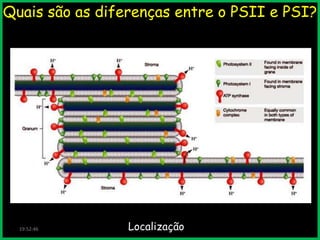 Quais são as diferenças entre o PSII e PSI?

19:52:46

Localização

 