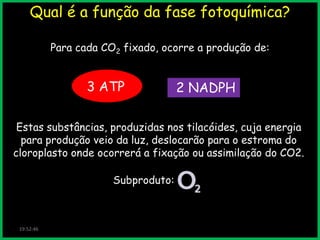 Qual é a função da fase fotoquímica?
Para cada CO2 fixado, ocorre a produção de:

3 ATP

2 NADPH

Estas substâncias, produzidas nos tilacóides, cuja energia
para produção veio da luz, deslocarão para o estroma do
cloroplasto onde ocorrerá a fixação ou assimilação do CO2.
Subproduto:

19:52:46

 