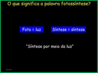 O que significa a palavra fotossíntese?

Foto = luz

Síntese = síntese

“Síntese por meio da luz”

19:52:46

 