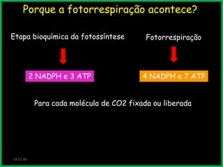 Porque a fotorrespiração acontece?
Etapa bioquímica da fotossíntese

2 NADPH e 3 ATP

Fotorrespiração

4 NADPH e 7 ATP

Para cada molécula de CO2 fixada ou liberada

19:52:46

 