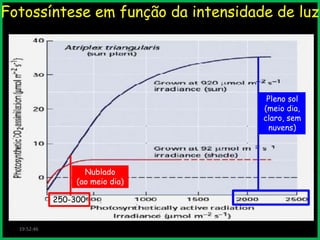 Fotossíntese em função da intensidade de luz

Pleno sol
(meio dia,
claro, sem
nuvens)

Nublado
(ao meio dia)
250-300

19:52:46

 