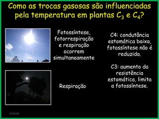 Como as trocas gasosas são influenciadas
pela temperatura em plantas C3 e C4?
Fotossíntese,
fotorrespiração
e respiração
ocorrem
simultaneamente

Respiração

19:52:46

C4: condutância
estomática baixa,
fotossíntese não é
reduzida.
C3: aumento da
resistência
estomática, limita
a fotossíntese.

 