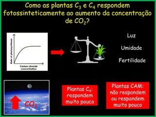 Como as plantas C3 e C4 respondem
fotossinteticamente ao aumento da concentração
de CO2?
Luz
Umidade
Fertilidade

CO2
19:52:46

Plantas C4:
respondem
muito pouco

Plantas CAM:
não respondem
ou respondem
muito pouco

 