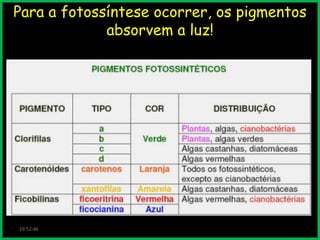 Para a fotossíntese ocorrer, os pigmentos
absorvem a luz!

19:52:46

 
