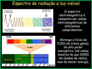 Espectro de radiação e luz visível
O espectro
eletromagnético é
composto por ondas
eletromagnéticas de
diferentes
comprimentos.
Abrange a faixa de
0,001 nm (raios gama),
de alto poder
energético, até ondas
maiores do que 10000
nm (ondas de rádio),
mas de menor energia.
19:52:46

 