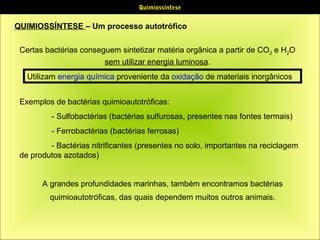 Quimiossíntese

QUIMIOSSÍNTESE – Um processo autotrófico
Certas bactérias conseguem sintetizar matéria orgânica a partir de CO2 e H2O
sem utilizar energia luminosa.
Utilizam energia química proveniente da oxidação de materiais inorgânicos
Exemplos de bactérias quimioautotróficas:
- Sulfobactérias (bactérias sulfurosas, presentes nas fontes termais)
- Ferrobactérias (bactérias ferrosas)
- Bactérias nitrificantes (presentes no solo, importantes na reciclagem
de produtos azotados)
A grandes profundidades marinhas, também encontramos bactérias
quimioautotróficas, das quais dependem muitos outros animais.

 