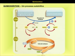 Quimiossíntese

QUIMIOSSÍNTESE – Um processo autotrófico

 