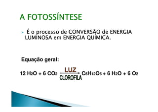 É o processo de CONVERSÃO de ENERGIAÉ o processo de CONVERSÃO de ENERGIAÉ o processo de CONVERSÃO de ENERGIAÉ o processo de CONVERSÃO de ENERGIA
LUMINOSA em ENERGIA QUÍMICA.LUMINOSA em ENERGIA QUÍMICA.LUMINOSA em ENERGIA QUÍMICA.LUMINOSA em ENERGIA QUÍMICA.
Equação geral:
12 H2O + 6 CO2 C6H12O6 + 6 H2O + 6 O2
 