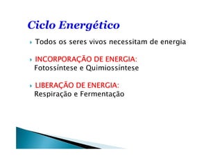 Todos os seres vivos necessitam de energia
INCORPORAÇÃO DE ENERGIA:INCORPORAÇÃO DE ENERGIA:INCORPORAÇÃO DE ENERGIA:INCORPORAÇÃO DE ENERGIA:
Fotossíntese e Quimiossíntese
LIBERAÇÃO DE ENERGIA:LIBERAÇÃO DE ENERGIA:LIBERAÇÃO DE ENERGIA:LIBERAÇÃO DE ENERGIA:
Respiração e Fermentação
 
