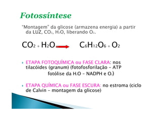 “Montagem” da glicose (armazena energia) a partir
da LUZLUZLUZLUZ, CO2, H2O, liberando O2.
CO2 + H2O C6H12O6 + O2
ETAPA FOTOQUÍMICA ou FASE CLARAETAPA FOTOQUÍMICA ou FASE CLARAETAPA FOTOQUÍMICA ou FASE CLARAETAPA FOTOQUÍMICA ou FASE CLARA: nos
tilacóides (granum) (fotofosforilação – ATP
fotólise da H2O – NADPH e O2)
ETAPA QUÍMICA ou FASE ESCURAETAPA QUÍMICA ou FASE ESCURAETAPA QUÍMICA ou FASE ESCURAETAPA QUÍMICA ou FASE ESCURA: no estroma (ciclo
de Calvin – montagem da glicose)
 