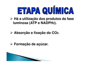 Há a utilização dos produtos da fase
luminosa (ATP e NADPH2).
Absorção e fixação do CO2.
Formação de açúcar.
 
