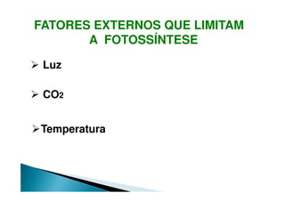 FATORES EXTERNOS QUE LIMITAM
A FOTOSSÍNTESE
Luz
CO2
Temperatura
 
