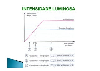 INTENSIDADE LUMINOSA
 