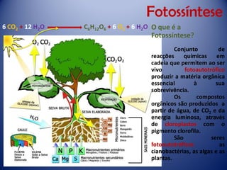 Fotossíntese 
O que é a Fotossíntese? 
Conjuntodereacçõesquímicasemcadeiaquepermitemaoservivofotoautotróficoproduziramatériaorgânicaessencialàsuasobrevivência. 
Oscompostosorgânicossãoproduzidosapartirdeágua,deCO2edaenergialuminosa,atravésdecloroplastoscomopigmentoclorofila. 
Sãoseresfotoautotróficosascianobactérias,asalgaseasplantas. 
6 CO2+12 H2O C6H12O6+6 O2+6 H2O  