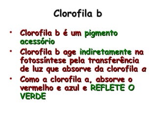 Clorofila bClorofila b
• Clorofila b é umClorofila b é um pigmentopigmento
acessórioacessório
• Clorofila b ageClorofila b age indiretamenteindiretamente nana
fotossíntese pela transferênciafotossíntese pela transferência
de luz que absorve da clorofilade luz que absorve da clorofila aa
• Como a clorofila a, absorve oComo a clorofila a, absorve o
vermelho e azul evermelho e azul e REFLETE OREFLETE O
VERDEVERDE
 