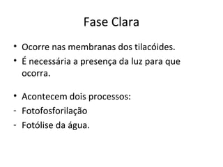 Fase Clara
• Ocorre nas membranas dos tilacóides.
• É necessária a presença da luz para que
ocorra.
• Acontecem dois processos:
- Fotofosforilação
- Fotólise da água.
 