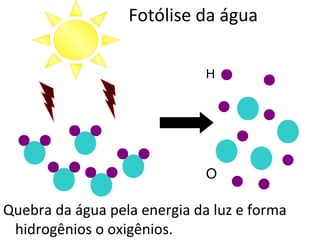 H
O
Fotólise da água
Quebra da água pela energia da luz e forma
hidrogênios o oxigênios.
 