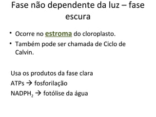 Fase não dependente da luz – fase
escura
• Ocorre no estroma do cloroplasto.
• Também pode ser chamada de Ciclo de
Calvin.
Usa os produtos da fase clara
ATPs  fosforilação
NADPH2  fotólise da água
 
