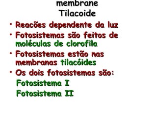 membranemembrane
TilacoideTilacoide
• Reacões dependente da luzReacões dependente da luz
• Fotosistemas são feitos deFotosistemas são feitos de
moléculas de clorofilamoléculas de clorofila
• Fotosistemas estão nasFotosistemas estão nas
membranasmembranas tilacóidestilacóides
• Os dois fotosistemas são:Os dois fotosistemas são:
Fotosistema IFotosistema I
Fotosistema IIFotosistema II
 
